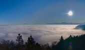 Tour Zu Fuß Horgen - Schnabellücke - Langnau Gattikon - Photo 2