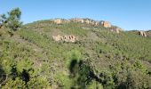 Randonnée Marche Théoule-sur-Mer - Théoule, le rocher des Monges, N.D d'Afrique - Photo 13