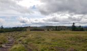 Trail Walking Orbey - Tour des 3 lacs (lac noir, blanc, Forlet) Vosges - Photo 7