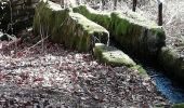 Tour Wandern Peyrelevade - Fred les Fontaines de Cezeyrat  - Photo 4