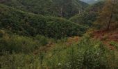 Trail Walking Soursac - Fred les roches noires - Photo 1
