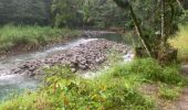 Trail Trail Petit-Bourg - Forêt de celus  - Photo 11