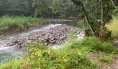 Tocht Trail Petit-Bourg - Forêt de celus  - Photo 11