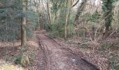 Trail Walking Saint-Pierre-de-Cormeilles - St Pierre de Cormeille - Photo 13