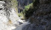 Randonnée Marche Joucas - Joucas - Les gorges de Véroncle - Photo 9