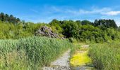 Excursión Senderismo Charleroi - La réserve naturelle du Brun Chêne à Charleroi - Photo 1