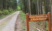 Tocht Stappen Xonrupt-Longemer - 18-05-23 abri roche Boulard, col des Harengs Marinés, route forestière du chemin stratégique - Photo 2