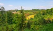 Trail Walking Braives - De Fumal à Huccorgne par la vallée de la Mehaigne - Photo 9