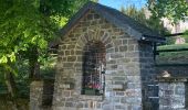 Trail Walking Paliseul - Maissin, pvl juillet 2025 - Photo 7
