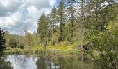 Tour Wandern Houyet - Houyet - Photo 2
