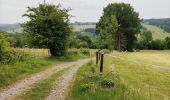 Tour Wandern Vielsalm - La nature en questions   - Photo 10