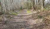 Tocht Stappen Bernay - bois de Champeaux 1 - Photo 1