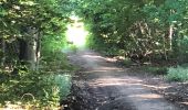 Tour Wandern Lubbeek - Natuurpunt: het Koebos (PVDB) - Photo 5