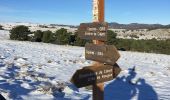 Trail Walking Caussols - Calern - Photo 2