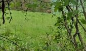 Tocht Stappen Jemeppe-sur-Sambre - menhir - Photo 4