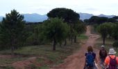 Tocht Stappen Le Muy - Massif du Rouet-21-05-21 - Photo 9