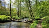 Tour Wandern Chimay - rando ornitho lompret 17-04-2024 - Photo 3