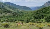 Trail Walking Courmes - Courmes, Plateau de St Barnabé, le Champ des Idoles - Photo 2