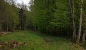 Trail Horseback riding Viroinval - Oignies / le Mesnil par Nobertins 100621 - Photo 1