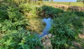 Tour Wandern La Chaise-Dieu - Sentier du Serpent d'Or  - Photo 20