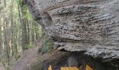 Percorso A piedi Rodalben - Rodalber Felsenwanderweg - Photo 6