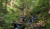 Excursión Senderismo Le Hohwald - Hohwald - Rothlach - Neuntelstein - Photo 15