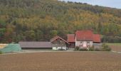 Percorso A piedi Immenhausen - Eco Pfad Holzhausen, Osterbergrunde - Photo 10