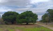 Excursión Senderismo Argelès-sur-Mer - mas larrieu - argeles / l hiver - Photo 10