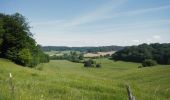 Tour Mountainbike Wirten - Avioth et sa basilique Notre-Dame  - Balade_VTT_34kms - Photo 20