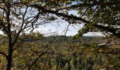 Tocht Stappen Charix - Tour du mont Burdet - Photo 1