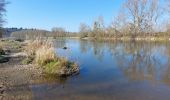 Trail Walking Monétay-sur-Allier - la boire de Monetay + l Trail Walking Monétay-sur-Allier - la boire de Monetay + l