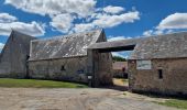 Tour Zu Fuß Sainte-Mesme - Boucle en forêt de Dourdan au départ de Sainte Mesme - Photo 2