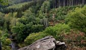 Tocht Stappen Libin - Promenade de la Lesse (8,6km)   - Photo 19