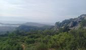 Tour Wandern Évenos - Le Mont Caume 22.10.23 - Photo 2