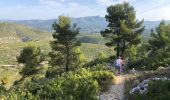 Randonnée Marche nordique Carnoux-en-Provence - Mn par la couette - Photo 1