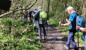 Excursión A pie Bedous - BEDOUS les chemins du gaves G4  