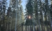 Trail Walking Saint Vith - Rodt - BierMuseum ❄️ - Photo 7