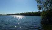 Tour Wandern Sotteville-sous-le-Val - 20260407-sotteville sous le val cool - Photo 6