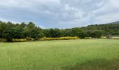 Randonnée Marche Vaugines - PF-Vaugines - Cucuron - l'Ermitage - Vaugines - 17.06.2021 - Photo 18