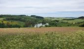 Tour Wandern Bastnach - rando lutrebois 2-06-2022 - Photo 13