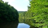 Tour Wandern Hohenfels - GrWandARd 36: Grande-Mormont het fraaiste van de Oostelijke Ourthe - Photo 3