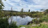 Tocht Stappen Houffalize - Initiation bivouac J2 - Photo 1