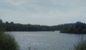 Tour Wandern Bütgenbach - A la découverte du Lac de Butgenbach - Photo 17