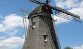 Percorso A piedi Kampen - WNW IJsseldelta - d'Olde Zwarver - paarse route - Photo 5