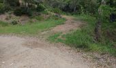 Trail Walking Les Arcs-sur-Argens - st jean les arcs - Photo 2