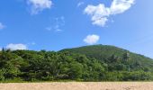 Tour Wandern Deshaies - Guadeloupe - Littoral Deshaies - Photo 6