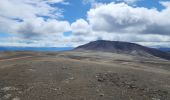 Tocht Stappen Chile Chico - Cerro Fosiles - Photo 18