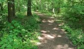 Tocht Stappen Saint-Amand-les-Eaux - terril vicoigne - Photo 2