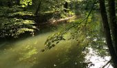 Tour Zu Fuß Schwarzenbruck - Schwarzenbruck Wanderweg No.1 - Photo 3