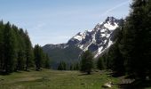 Tour Wandern Freissinières - Fressiniere  les Roberts  Lac de la Lauze - Photo 18